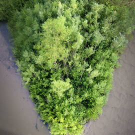 Pine River Island by Mary Lee Dereske