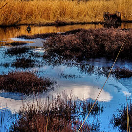 Pineland Cloud Reflections by Louis Dallara