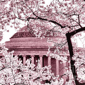 Pink Cherry Trees at the Jefferson Memorial by Olivier Le Queinec