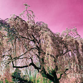 Pink Paradise by Onedayoneimage Photography