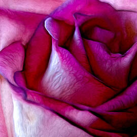 Pinked Rose Details by Bill and Linda Tiepelman