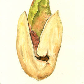 Pistachio by Juan  Bosco