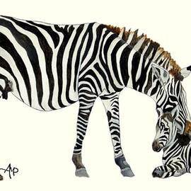 Plains Zebras by Angeles M Pomata