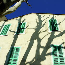 Plane tree casting shadows on a quaint building by Sami Sarkis Photography