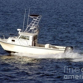 Pleasure Fishing Boat by Olivier Le Queinec