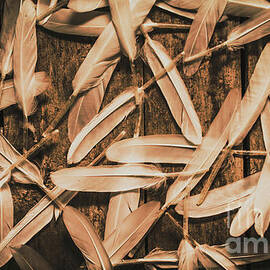 Plight of freedom by Jorgo Photography