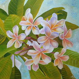 Plumeria by Angeles M Pomata