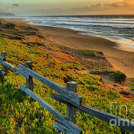 Point Reyes Paradise by Adam Jewell
