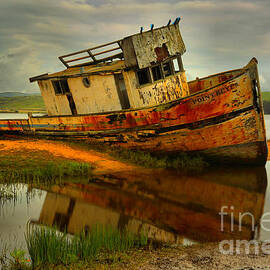 Point Reyes Shipwreck by Adam Jewell