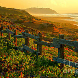 Point Reyes Sunset by Adam Jewell