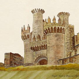 Ponferrada Templar Castle  by Angeles M Pomata