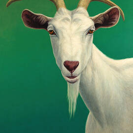 Portrait of a Goat