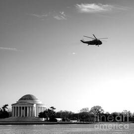 Presidential Salute by Olivier Le Queinec