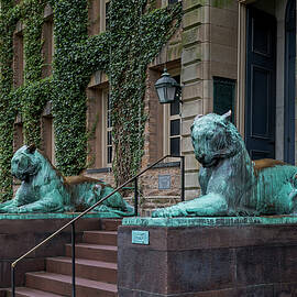 Princeton University Nassau Hall Tigers by Susan Candelario