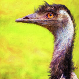 Profile portrait of Australian Emu by Miroslav Liska