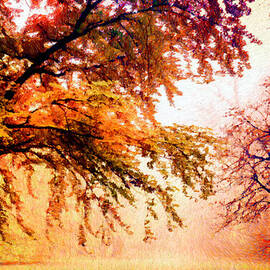 Promise of a Brighter Future by Rafael Salazar