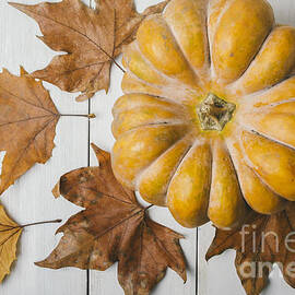 Pumkin and maple leaves by Jelena Jovanovic