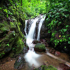 Pura Vida Waterfall Horizontal by David Morefield