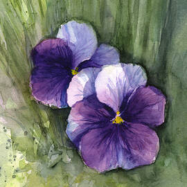 Purple Pansies Watercolor by Olga Shvartsur