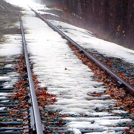 Rail Tracks in Winter by Olivier Le Queinec
