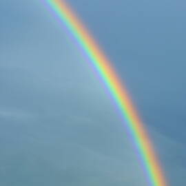 Rainbow by Sami Sarkis Photography