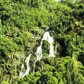 Rainforest rapids by Jorgo Photography