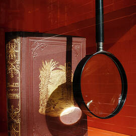 Recipe for Disaster At The Museum by Mary Lee Dereske