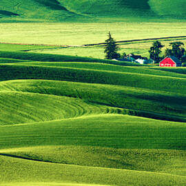 Red Barn by Mary Jo Allen