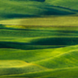 Red Barn Panorama by Mary Jo Allen