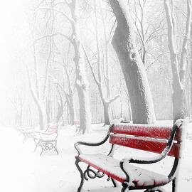 Red bench in the snow by  Jaroslaw Grudzinski