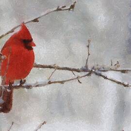 Red Bird of Winter by Jeffrey Kolker