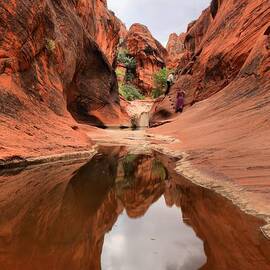 Red Cliffs Towering Wall Refelctions by Adam Jewell
