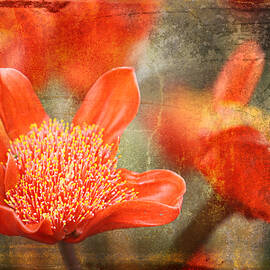 Red Flowers by Larry Marshall