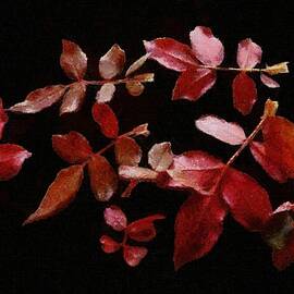 Red Leaves by Jeffrey Kolker