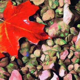 Red on the Rocks by Jeffrey Kolker