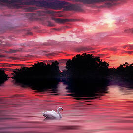 Red Sky at Night by Jessica Jenney