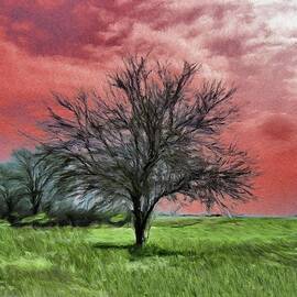 Red Sky by Jeffrey Kolker