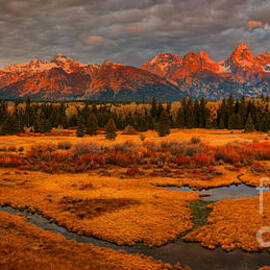 Red Teton Peaks Over Fall Foliage by Adam Jewell