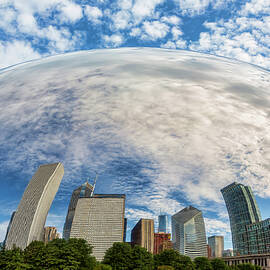 Reflection on the bean by Kelley King