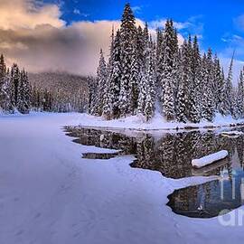 Reflections By Cilantro by Adam Jewell