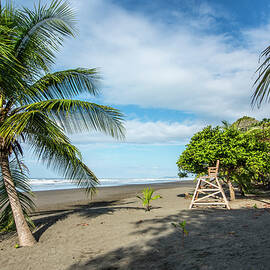 Relaxation at the Beach by David Morefield