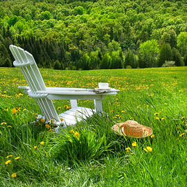 Relaxing on a summer chair in a field of tall grass  by Sandra Cunningham