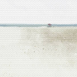 Renourishment by Gina Harrison