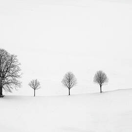 Return as always by Peter Svoboda
