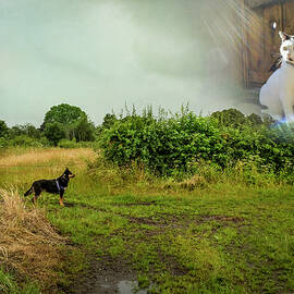 Rex Discovers Saint Peter is a Cat by Mary Lee Dereske