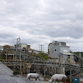 Rhino Quarry - Break Time by Richard Reeve