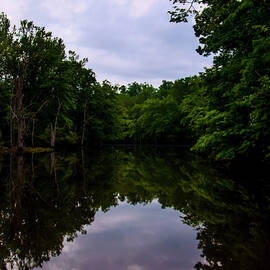 river reflections by Flees Photos
