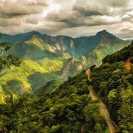 Road in Sequoia National Park by Miroslav Liska
