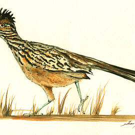 Roadrunner bird by Juan Bosco