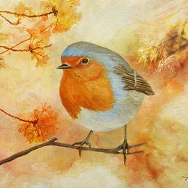 Robin Among Flowers by Angeles M Pomata